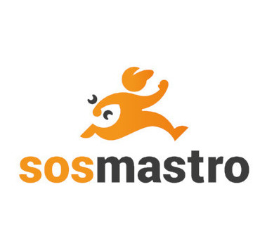 Logo SosMastro per riparazioni a Busto Arsizio